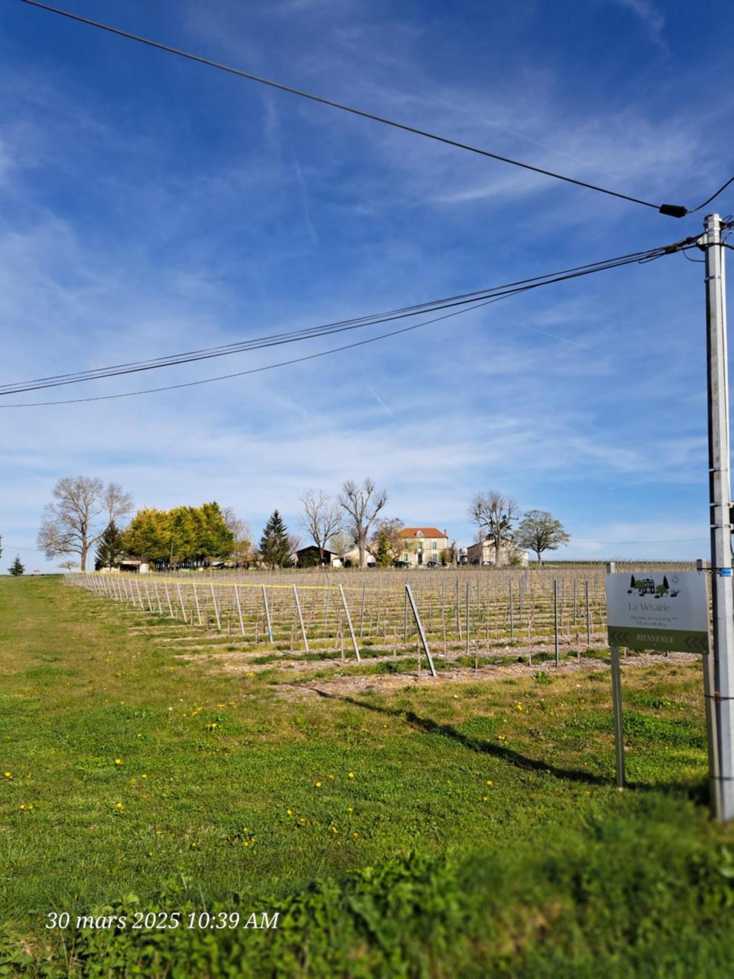 Апартаменты La Metairie Au Milieu Des Vignes Reaux Экстерьер фото
